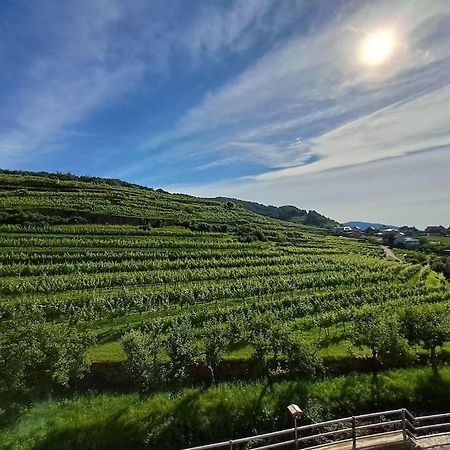 Wohnung In Der Wachau ويسنكرخن ان دي المظهر الخارجي الصورة