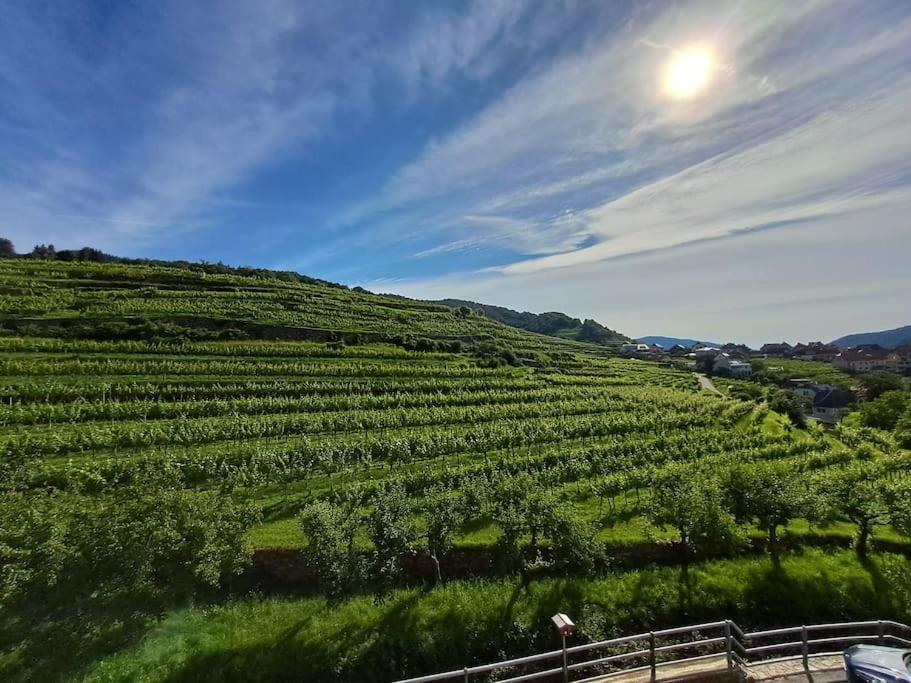 Wohnung In Der Wachau ويسنكرخن ان دي المظهر الخارجي الصورة